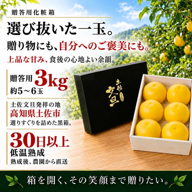 土佐文旦 贈答用化粧箱 3kg 大玉 日本ギフト大賞受賞 文旦発祥の地 園主こだわり ギフト 贈り物 寒中見舞い お祝い 自分へのご褒美 高知県土佐市産 高知県産 国産 3キロ ぶんたん みかん 柑橘類 高級フルーツ 果物 産地直送 お取り寄せ 季節限定 先行予約 やの一果彩[BQAC004]
