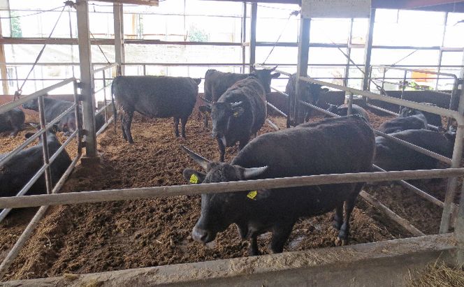 ［農林水産大臣賞受賞］備中牛 和牛スタンダードセット 1.6kg お肉 牛肉 ロース ミンチ 