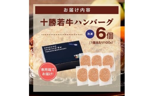 十勝若牛100％使用！十勝若牛ハンバーグ 100g×6個_S003-0001