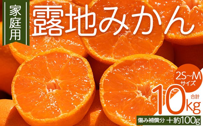 みかん 【2026年10月下旬発送】露地みかん(2S～Mサイズ) 10kg 家庭用 （傷み補償分 ＋約100g） - 果物 くだもの フルーツ 果実 柑橘 かんきつ 蜜柑 om-0005