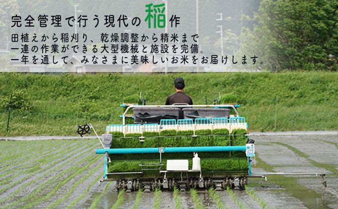 【6ヶ月連続】令和8年産福井県若狭町コシヒカリ（一等米）10kg（山心ファーム）