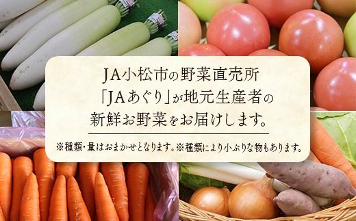 《JA小松市（隔月） 定期便６ヶ月》季節の野菜詰合せ 054003