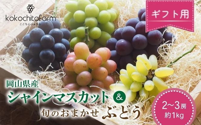 【2026年先行予約】 ここちとふぁーむ 【ギフト】 岡山県産 シャインマスカット＆旬のおまかせぶどう 2～3房 約1kg 【koko015-01】