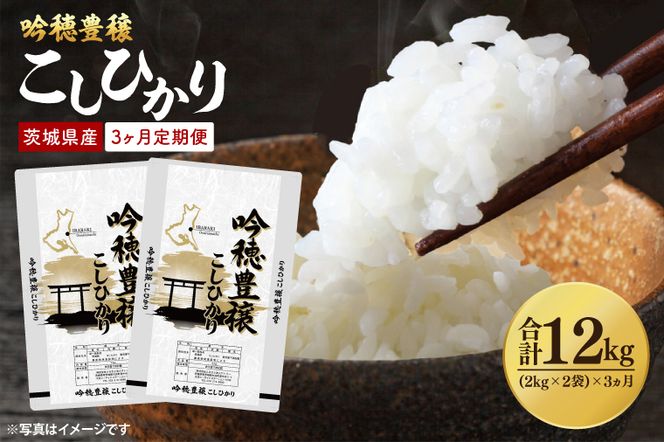 【3ヵ月定期便】 ＜令和7年産＞ 吟穂豊穣こしひかり 4kg ( 2kg 2袋 ) ×3ヵ月 精米 コシヒカリ こしひかり 米 ごはん コメ お米 白米 国産 茨城県産