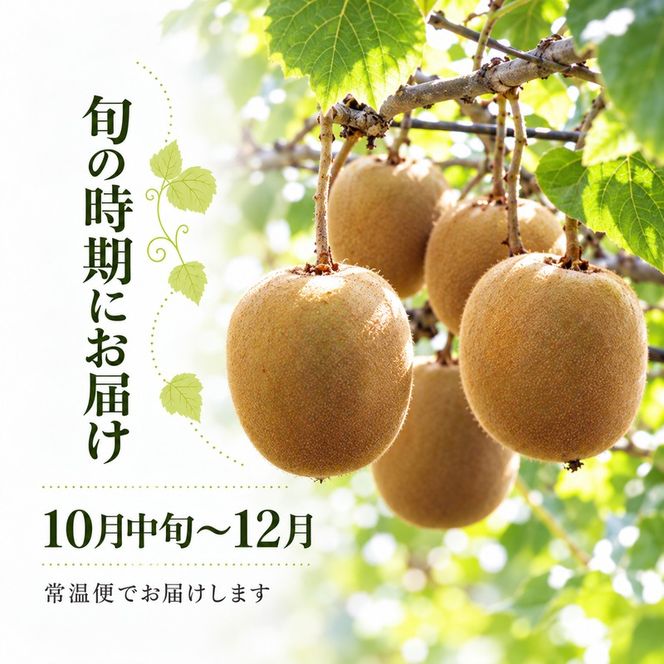 キウイ キウイフルーツ さぬきゴールドキウイ ゴールデンキウイ ゴールドキウイ 香川県産 国産 約3.5kg L～4Lサイズ 16～24玉 大玉 香川県オリジナル品種 追熟 食べごろ 甘い 朝食 デザート フルーツ 果物 くだもの 果実 香川県 東かがわ市 46312064