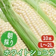 【2026年7月～発送】朝採り 白とうもろこし 「ホワイトショコラ」 L～2Lサイズ 10本入り 北海道 富良野市（岡本ファームズ ）とうもろこし とうきび コーン 野菜 新鮮 甘い ジューシー 贈り物 ギフト 道産 直送 ふらの