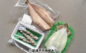 【ふるさと納税】京都 ・ 天橋立 海鮮3種詰め合わせセット 特大ホッケ サザエ串 イカ一夜干し 海鮮 魚貝類 魚 サザエ いか イカ ホッケ 一夜干し 干物 