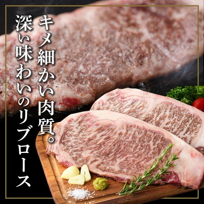yɍszisa643 y8zјaXe[L(v6.8kg) ^ ^pbN u[X T[C Xe[L    AEghA Hה BBQ Ⓚ yTL[~[gЁz