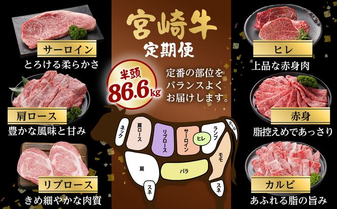 ≪4回お届け≫宮崎牛半頭定期便_T2500-4-N4-011-half 都城産 宮崎牛 定期便 4回 半頭 一頭買い ステーキ サーロイン ヒレ リブロース 焼肉 カルビ すき焼き スライス 赤身 肉 黒毛和牛 ブランド牛 贅沢 グルメ