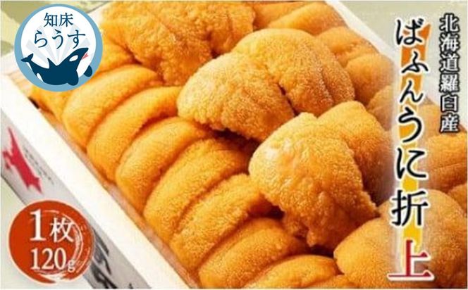 ＜先行受付＞＜27年1月～6月内発送＞エゾバフンウニ（上）折うに 120g×1枚 016942_BY006