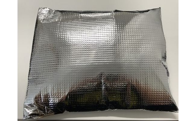 【鮎の繊細な味が凝縮された逸品】滋賀県産　鮎一夜干し【D005W】（滋賀県　近江八幡市）