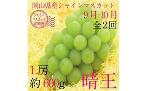 【定期便 全2回】 ぶどう 2026年 先行予約 9月・10月発送 シャインマスカット 晴王 1房 約600g ブドウ 葡萄 岡山県産 国産 フルーツ 果物 ギフト