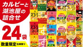 カルビー 湖池屋 人気 24種 詰め合わせ お楽しみ スナック菓子 セット カルビー 湖池屋 ポテトチップス ポテチ お菓子 おかし 大量 スナック おつまみ ジャガイモ じゃがいも まとめ買い Calbee ポテト おまかせ 数量限定 [DA006us]