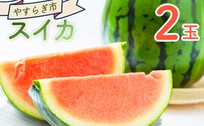 【先行予約】 スイカ 2玉 yr-0120