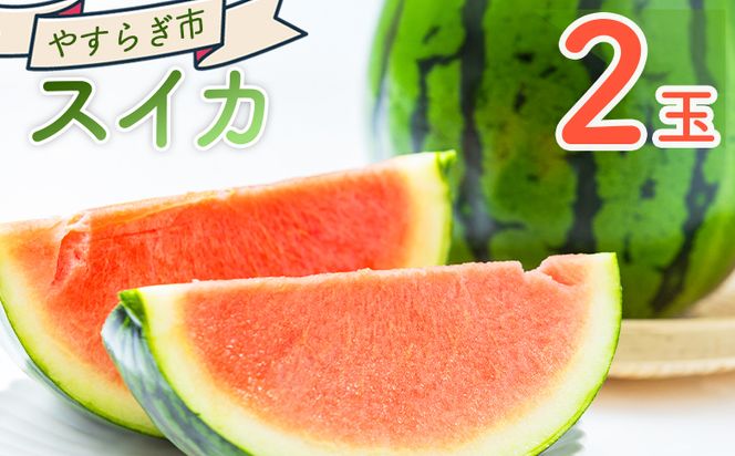 【先行予約】 スイカ 2玉 yr-0120