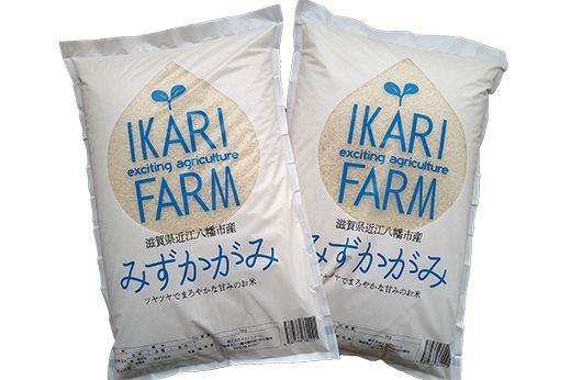 【7年産】冷めても美味しいあっさりとした味わい「みずかがみ」白米【10kg（5kg×2袋）】【C015W1】