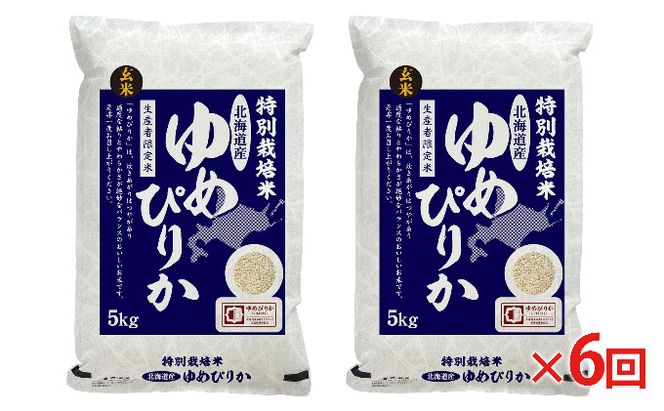 玄米 北海道赤平産 ゆめぴりか 10kg (5kg×2袋) 特別栽培米 【6回お届け】 米 北海道 定期便 ふるさと納税 お米 