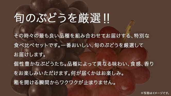 旬な ぶどう 食べ比べ 700g × 5房 【2026年8月上旬発送開始】(茨城県共通返礼品：大子町) ぶどう 葡萄 フルーツ 果物 おまかせ お楽しみ