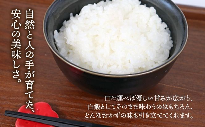 BE-14d 【１２カ月定期便】岐阜県産コシヒカリ ５kg(合計６０kg)