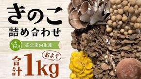 きのこ の 詰め合わせ Sサイズ ( 約1kg ) （茨城県共通返礼品：城里町） キノコ セット 野菜 低カロリー ダイエット デトックス バラエティ セット 新鮮 [DY001us]