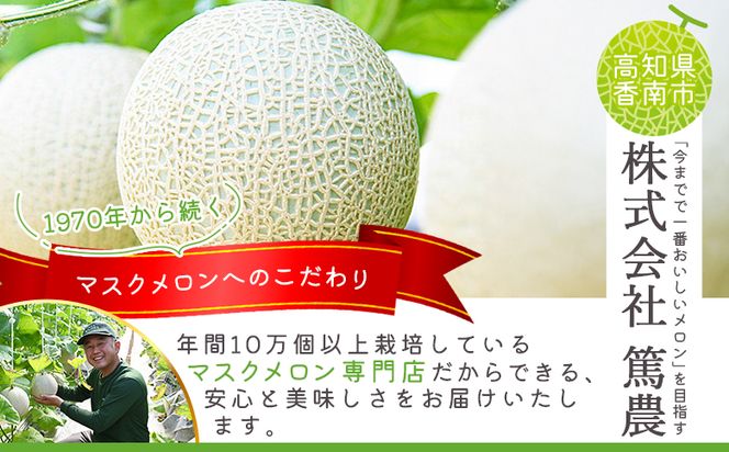 【２回定期便】一果相伝マスクメロン 家庭用 1玉入り めろん 青肉 自宅用 ジューシー 果汁 至福 美味しい 甘い あまい 篤農 産地直送 高知県 香南市 常温 Wtn-0057