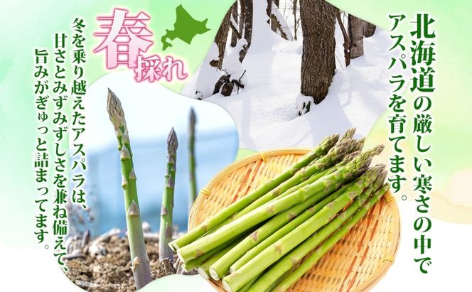北海道 洞爺湖町産 グリーンアスパラ 約1kg L～2L混合 5月下旬頃お届け 2026 先行受付 路地 アスパラ アスパラガス 野菜 農作物 サラダ 天ぷら 新鮮 国産 人気 お取寄せ 産地直送 冷蔵 洞爺湖 