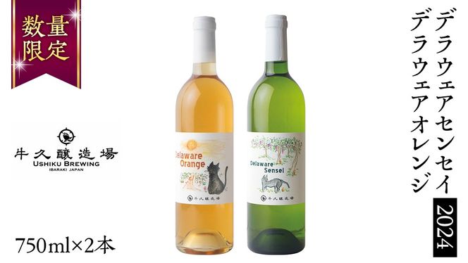 y錧vszfEFAZZC2024EfEFAIW2{Zbg 錧Y v {C C C 750ml ~fBA{fB  蕨  Ԃǂ IWC [BJ061us]