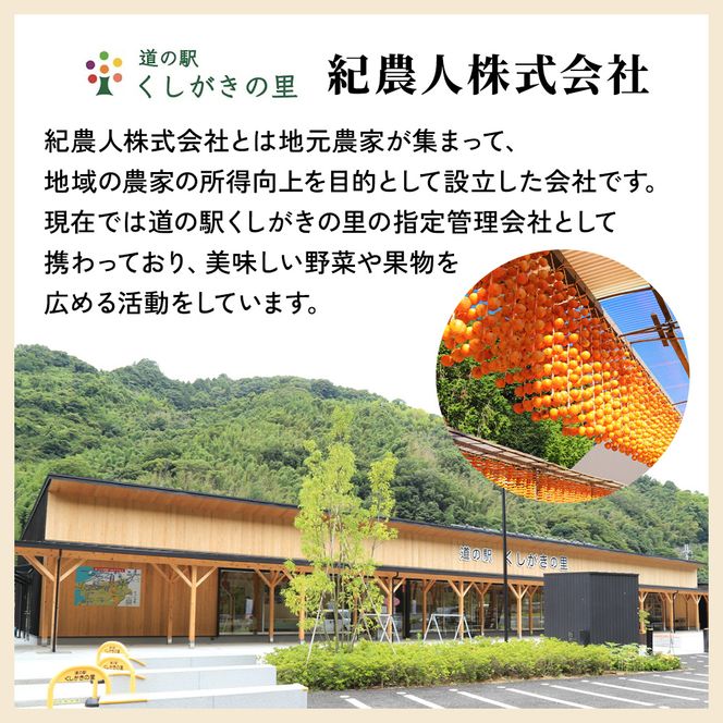 先行受付!　柿　種無し　赤秀品　大玉　5～6個　約2kg