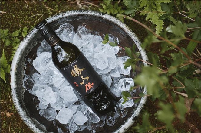 勝山 純米大吟醸 伝（でん）　【お酒・日本酒・純米大吟醸酒】 041009_AE001