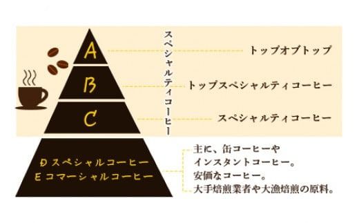 ＜希少豆とブレンドコーヒー＞翌月末迄に順次出荷【c220_el_x3】