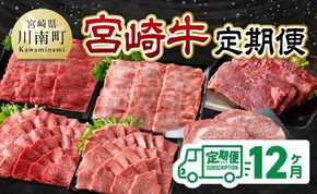 【12ヶ月定期便】宮崎牛定期便【 肉 牛肉 国産 宮崎県産 宮崎牛 黒毛和牛 和牛 焼肉 しゃぶしゃぶ すきしゃぶ 焼しゃぶ 4等級 A4ランク 】 [C11123t12]
