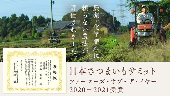 まるでアイスのような まるごと焼き芋 8袋 スイーツ お取り寄せ おやつ ヘルシー ご褒美 アイス 焼き芋 冷凍焼き芋