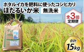 ほたるいか米（無洗米５kg）×3回 計15kg【3ヶ月定期便】