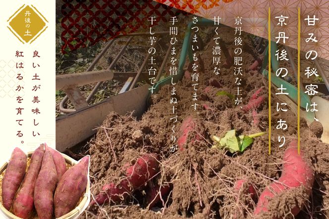 テレビで紹介！ 丹後地域優秀産品受賞★京都・京丹後産干しいも　100g×10セット　 1kg 無添加 国産 紅はるか ほしいも 和菓子 干し芋 平干し芋 サツマイモ 薩摩芋 さつまいも さつま芋 サツマ芋 SD00002