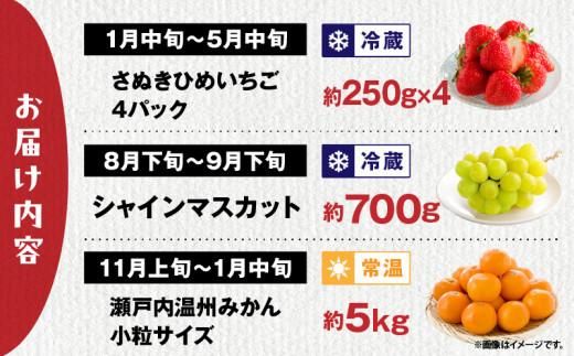 【3回お届け】高松市自慢のフルーツ定期便【D】 372013_T006-768J