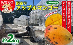 【災害支援】訳あり アップルマンゴー約2kg（3～5玉）【2026年発送】 家庭用 台風 沖縄 甘味 糖度 濃厚 美味しい 被害 おいしい お得 とろける甘さ 香り アーウィン 果汁 コスパ 箱入り 手頃 普段使い 自分用 ご褒美