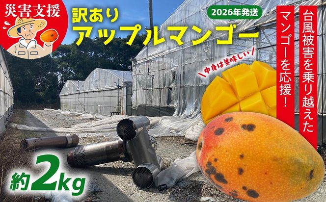 【災害支援】訳あり アップルマンゴー約2kg（3～5玉）【2026年発送】 家庭用 台風 沖縄 甘味 糖度 濃厚 美味しい 被害 おいしい お得 とろける甘さ 香り アーウィン 果汁 コスパ 箱入り 手頃 普段使い 自分用 ご褒美