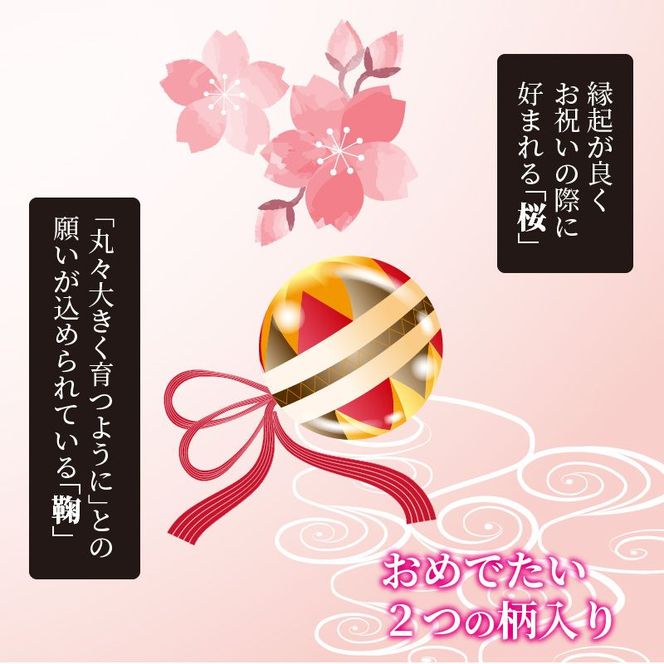 雛人形 名前旗（小） 刺繍入り台付《 お祝い 刺しゅう入り 名前札 贈り物 名前旗 縁起がいい 正月 ひな祭り 七五三 》 【2406S03902】