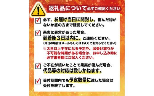 数量限定 訳あり 土佐文旦 9kg 10000円 みかん 文旦 ぶんたん 国産 家庭用 産地直送 農家直送 期間限定 ビタミン 特産品 人気 限定 さわやか 甘い フルーツ 果物 果実 柑橘 蜜柑 糖度 果樹園 おいしい 愛媛 みかん ブランド オレンジ 大小 サイズ ミックス ゼリー ジュース 人気 限定 先行 予約 事前 受付 愛南町 愛媛県 吉田農園