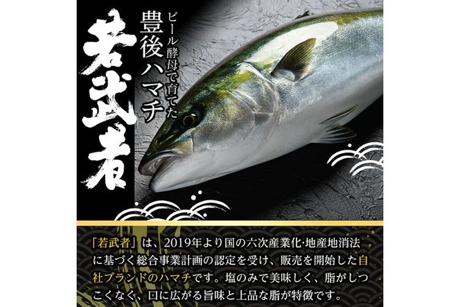 豊後ハマチ 若武者(三枚おろし済1尾) ハマチ はまち 鮮魚 旬 刺身 三枚おろし 国産 大分県 佐伯市 特産品【GS002】【浪井丸天水産】