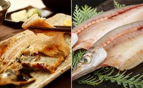 瀬戸内のお魚【干物】詰め合わせ 魚貝類 干物詰め合わせ 