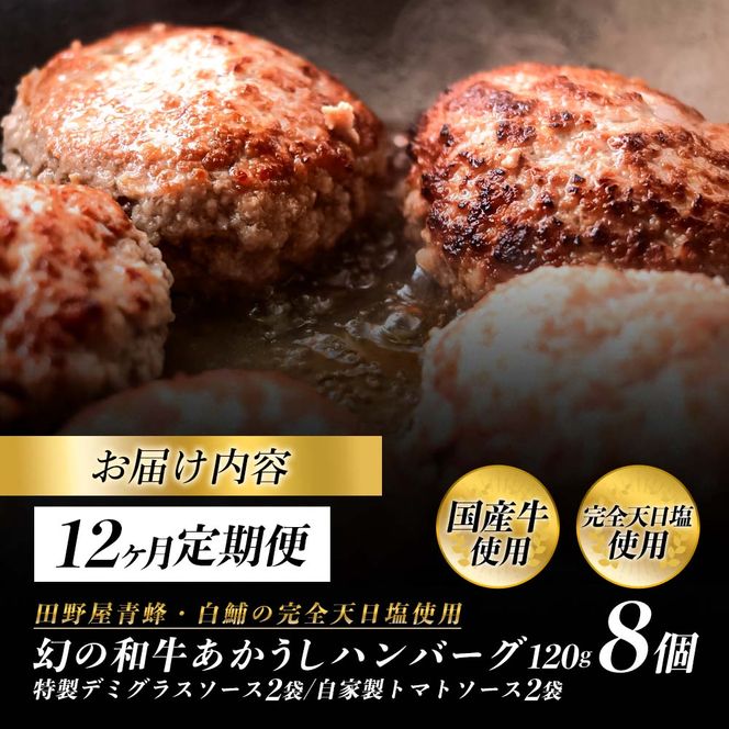 幻のあかうし和牛ハンバーグ 8個入り 12ヶ月定期便 1個120g 特製デミソース トマトソース付き 田野屋青蜂 白鯆 完全天日塩練り込み 肉 お肉 国産牛 おかず おいしい お取り寄せ 冷凍 配送 高知県 田野町