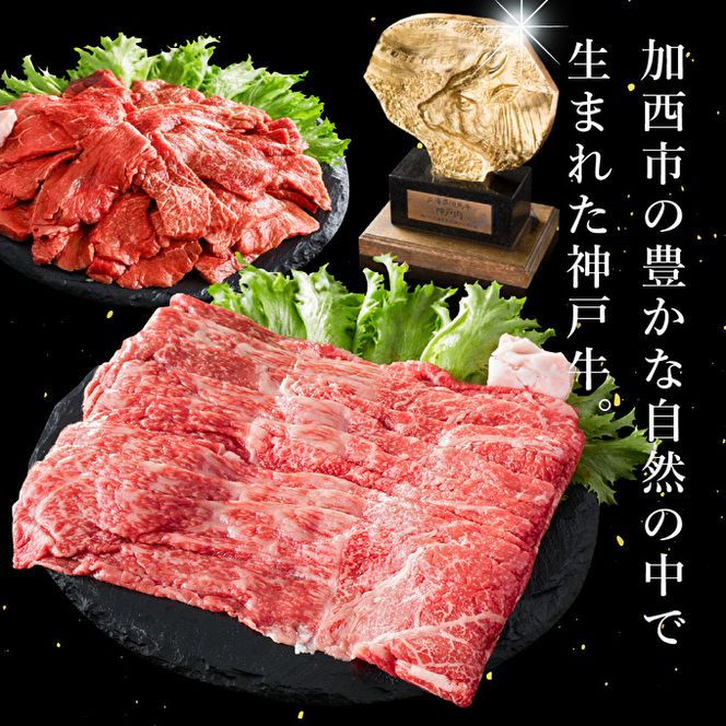 神戸牛 定期便 6ヶ月連続お届け 贅沢6種 すき焼き肉 赤身焼肉 切り落とし ロースステーキ 焼肉食べ比べ