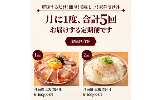 日向灘 お魚の漬け丼 バラエティ 5回 定期便　N019-YE097
