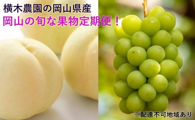 フルーツ 2026年 先行予約 岡山の旬な果物 定期便 ！ 白桃 （早生、中生種）約2kg 6～9玉 シャインマスカット 2房(約1.3kg) 贈答用 岡山県産  果物 ギフト 横木農園 果物類 