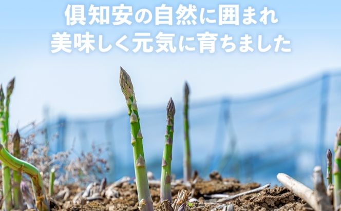 【2026年発送】 アスパラガス 北海道 グリーン 2kg セット Lサイズ 春 限定 旬 朝採り 新鮮 野菜 アスパラ ギフト gift 産地直送 産直 お取り寄せ 詰め合わせ 送料無料