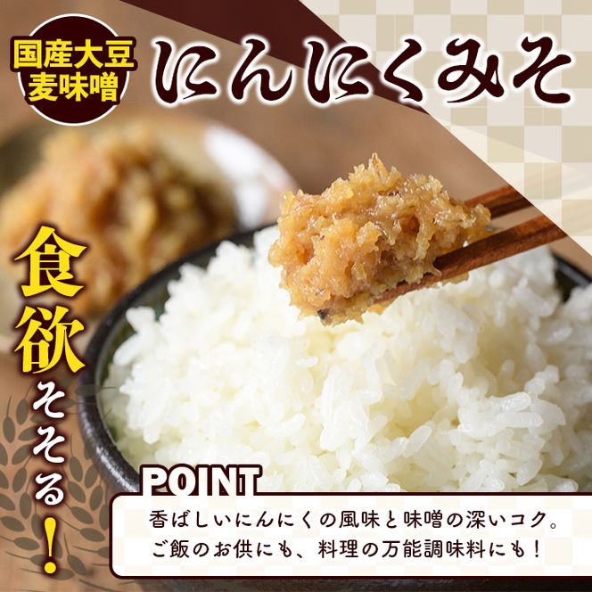 ISOMISO国産セット(磯味噌～光～800g+豚みそ130g+にんにくみそ130g) 国産 国産大豆 味噌 みそ 麦味噌 麦みそ いそみそ 豚味噌 にんにく味噌 自家製 手作り ご飯のお供 ごはんのお供 おかず おつまみ 万能調味料 【田舎みそ磯畑～ISOMISO～】akn099-13