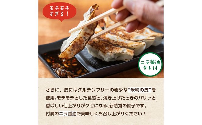 【A02038】大分特産！グルテンフリーのニラと大葉の米粉餃子