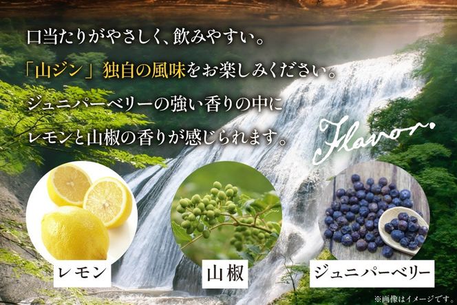 ジン 山ジン 700ml×12本 [サン.フーズ 山梨県 韮崎市 20743032] 酒 お酒 スピリッツ ジン 蒸留酒 国産 カクテル JIN ソーダ割り