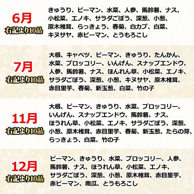 【0123608a】自慢の農家×老舗青果店の新鮮でおいしい野菜・おまかせ便(10品) 野菜 セット 詰め合わせ 詰合せ 旬 お野菜【有留青果】